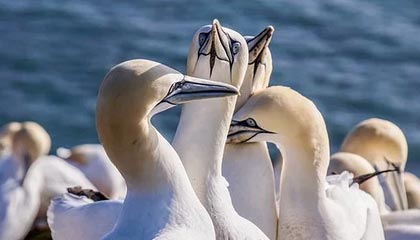 开云体育平台-英雄联盟 冬季赛激战正酣，lol冬季赛2020什么时候开始