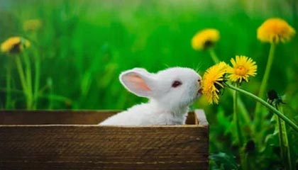 开云体育平台-英雄联盟 冬季赛激战正酣，lol冬季赛2020什么时候开始